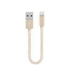 Chargeur Cable Data Synchro Cable 15cm S01 pour Apple iPad New Air (2019) Or