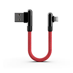 Chargeur Cable Data Synchro Cable 20cm S02 pour Apple iPad 10.2 (2020) Rouge