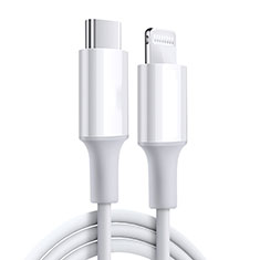 Chargeur Cable Data Synchro Cable C02 pour Apple iPad 10.2 (2020) Blanc