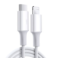 Chargeur Cable Data Synchro Cable C02 pour Apple iPad Pro 12.9 (2018) Blanc