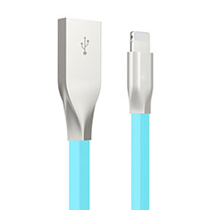 Chargeur Cable Data Synchro Cable C05 pour Apple iPad 10.2 (2020) Bleu Ciel