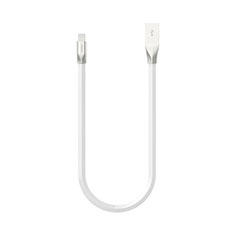 Chargeur Cable Data Synchro Cable C06 pour Apple iPad 10.2 (2020) Blanc