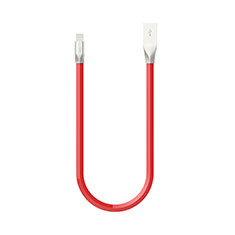 Chargeur Cable Data Synchro Cable C06 pour Apple iPad Air 2 Rouge