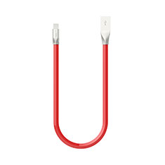 Chargeur Cable Data Synchro Cable C06 pour Apple iPad Air 4 10.9 (2020) Rouge