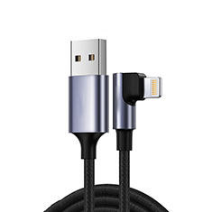 Chargeur Cable Data Synchro Cable C10 pour Apple iPad Air 2 Noir