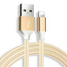 Chargeur Cable Data Synchro Cable D04 pour Apple iPad 10.2 (2020) Or
