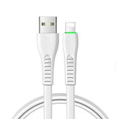 Chargeur Cable Data Synchro Cable D20 pour Apple iPhone 13 Pro Max Blanc