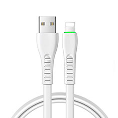 Chargeur Cable Data Synchro Cable D20 pour Apple iPhone 8 Plus Blanc