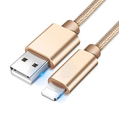 Chargeur Cable Data Synchro Cable L08 pour Apple iPad Pro 12.9 (2018) Or