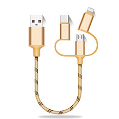 Chargeur Lightning Cable Data Synchro Cable Android Micro USB Type-C 25cm S01 pour Accessoires Telephone Casques Ecouteurs Or