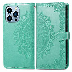 Coque Portefeuille Motif Fantaisie Livre Cuir Etui Clapet H06 pour Apple iPhone 13 Pro Vert