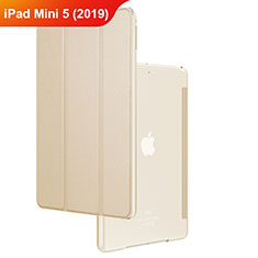 Housse Clapet Portefeuille Livre Cuir pour Apple iPad Mini 5 (2019) Or