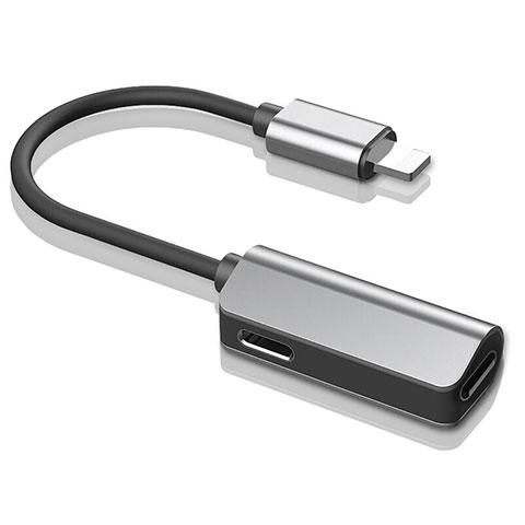 Cable Lightning USB H01 pour Apple iPad 10.2 (2020) Argent