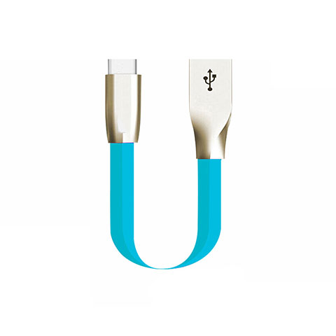 Cable Type-C Android Universel 30cm S06 pour Apple iPad Pro 11 (2022) Bleu