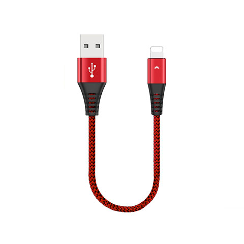 Chargeur Cable Data Synchro Cable 30cm D16 pour Apple iPad Air Rouge