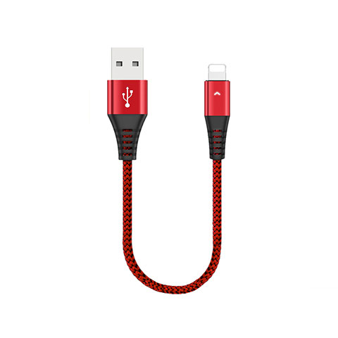 Chargeur Cable Data Synchro Cable 30cm D16 pour Apple New iPad Air 10.9 (2020) Rouge