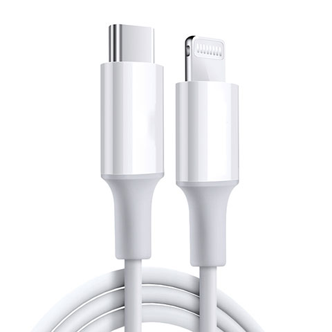 Chargeur Cable Data Synchro Cable C02 pour Apple iPad 10.2 (2020) Blanc