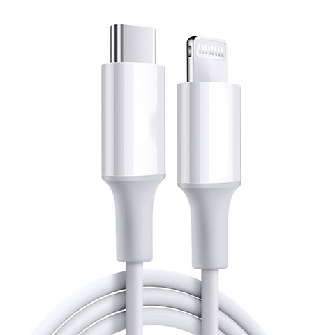 Chargeur Cable Data Synchro Cable C02 pour Apple iPhone Xs Blanc