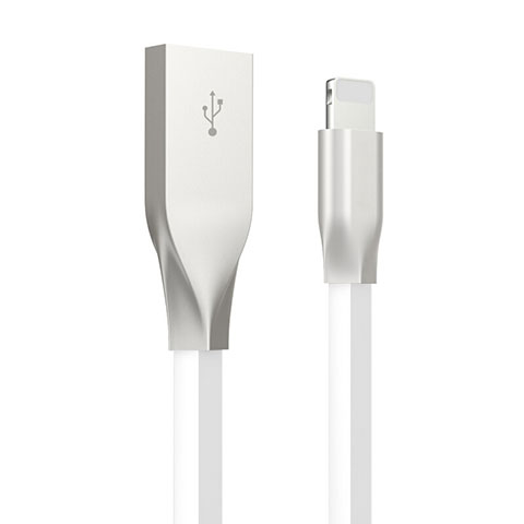 Chargeur Cable Data Synchro Cable C05 pour Apple iPad Pro 11 (2018) Blanc