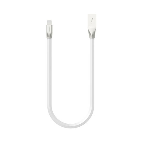 Chargeur Cable Data Synchro Cable C06 pour Apple iPad Air 10.9 (2020) Blanc