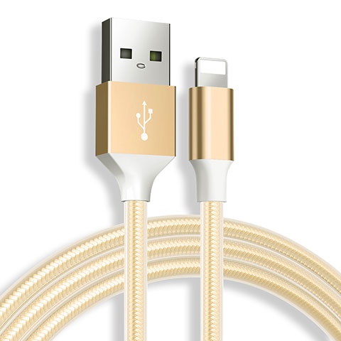 Chargeur Cable Data Synchro Cable D04 pour Apple iPad 10.2 (2020) Or