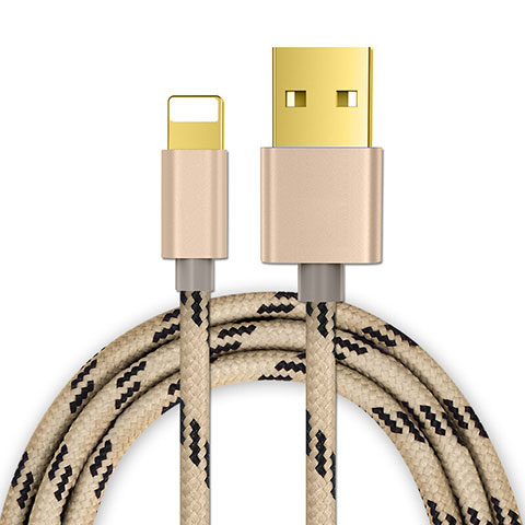 Chargeur Cable Data Synchro Cable L01 pour Apple iPad Mini 5 (2019) Or