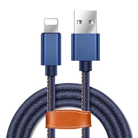 Chargeur Cable Data Synchro Cable L04 pour Apple iPad Mini 4 Bleu