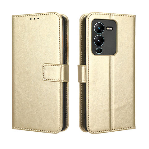 Coque Portefeuille Livre Cuir Etui Clapet BY5 pour Vivo V25 Pro 5G Or