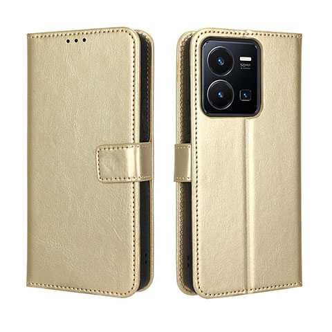 Coque Portefeuille Livre Cuir Etui Clapet BY5 pour Vivo Y35 4G Or