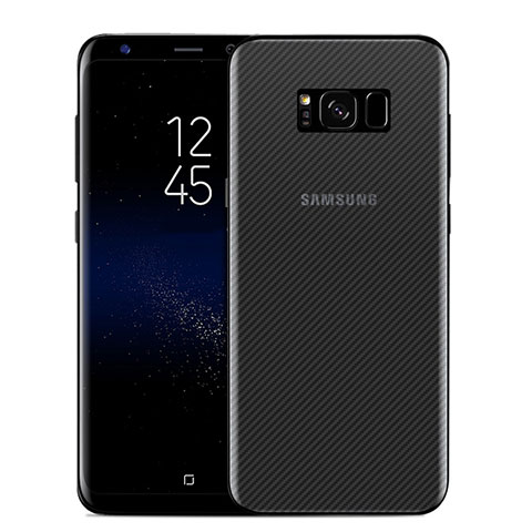 Film Protecteur Arriere B01 pour Samsung Galaxy S8 Clair