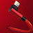 Chargeur Cable Data Synchro Cable C10 pour Apple iPad Air 2 Petit