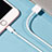 Chargeur Cable Data Synchro Cable L09 pour Apple iPhone 12 Mini Blanc Petit