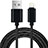 Chargeur Cable Data Synchro Cable L13 pour Apple iPad 10.2 (2020) Noir Petit