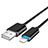 Chargeur Cable Data Synchro Cable L13 pour Apple iPad 10.2 (2020) Noir Petit