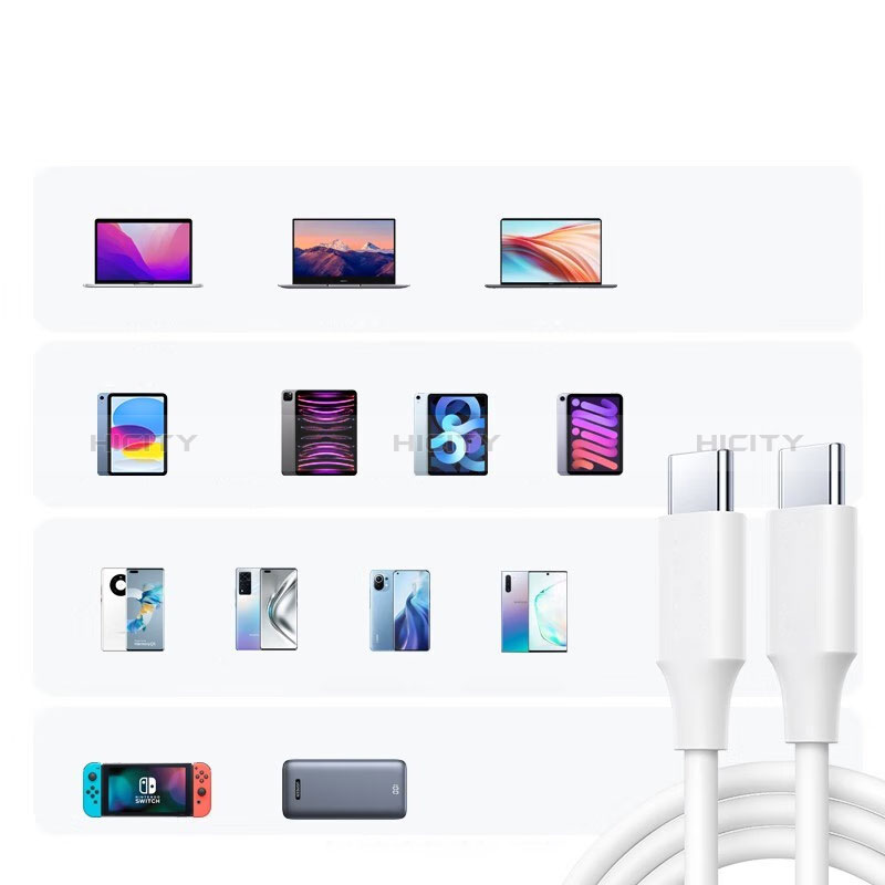 Cable Type-C USB-C vers Type-C USB-C 100W H04 pour Apple iPad Pro 12.9 (2021) Plus