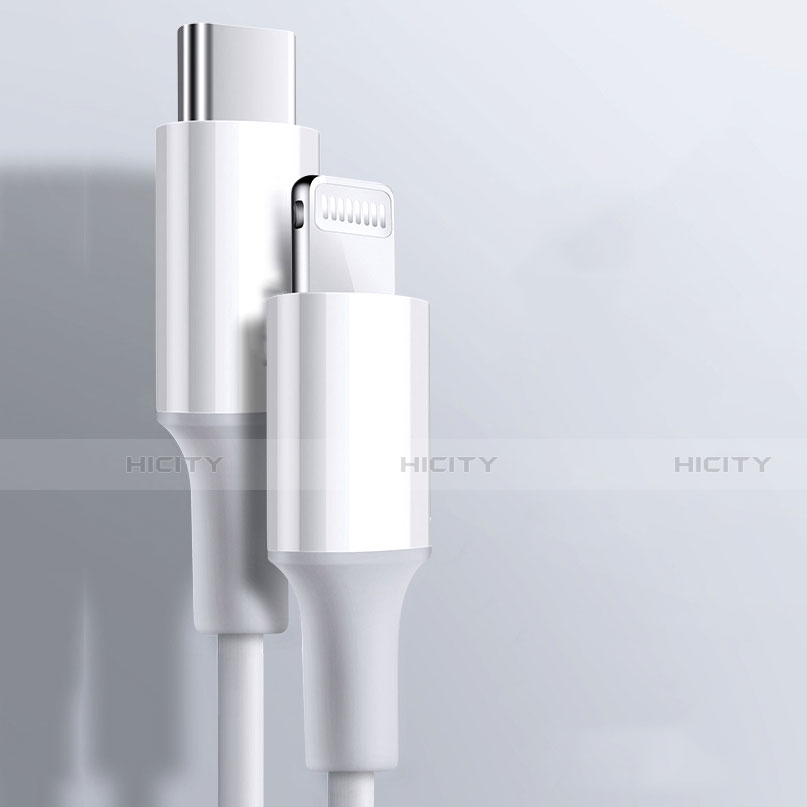 Chargeur Cable Data Synchro Cable C02 pour Apple iPad 10.2 (2020) Blanc Plus