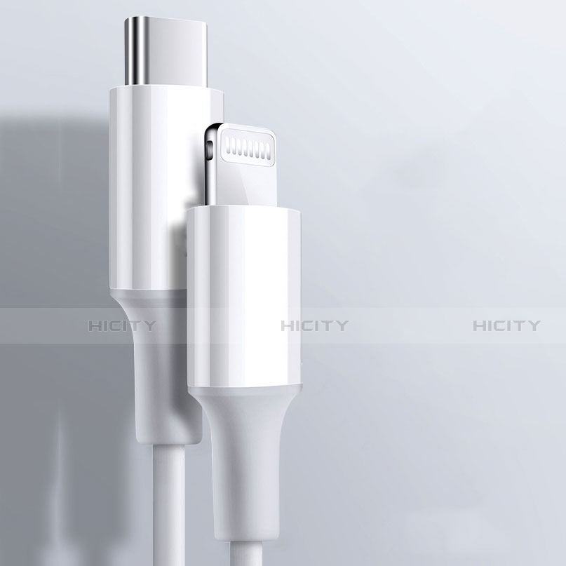 Chargeur Cable Data Synchro Cable C02 pour Apple iPad Air 2 Blanc Plus