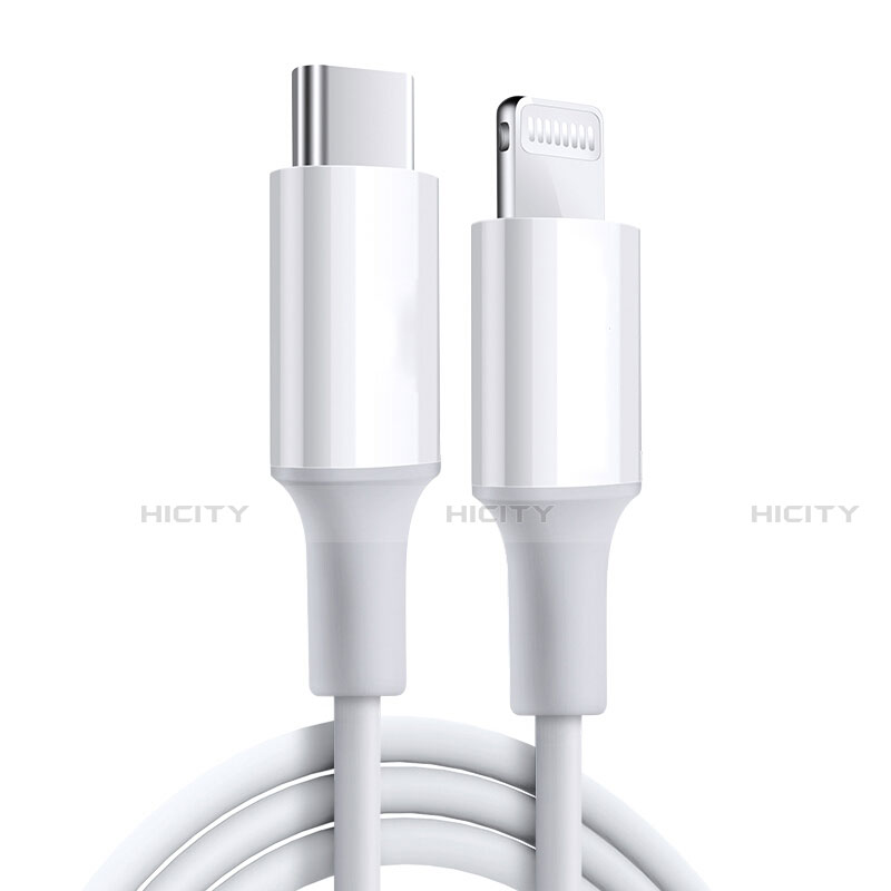 Chargeur Cable Data Synchro Cable C02 pour Apple iPad Mini 5 (2019) Blanc Plus