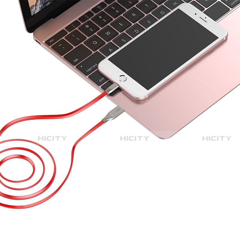 Chargeur Cable Data Synchro Cable C05 pour Apple iPad Air 2 Plus