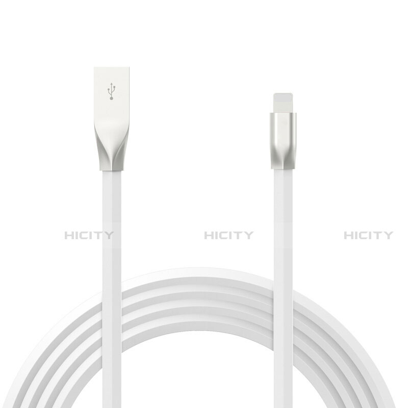 Chargeur Cable Data Synchro Cable C05 pour Apple iPad Mini 4 Plus