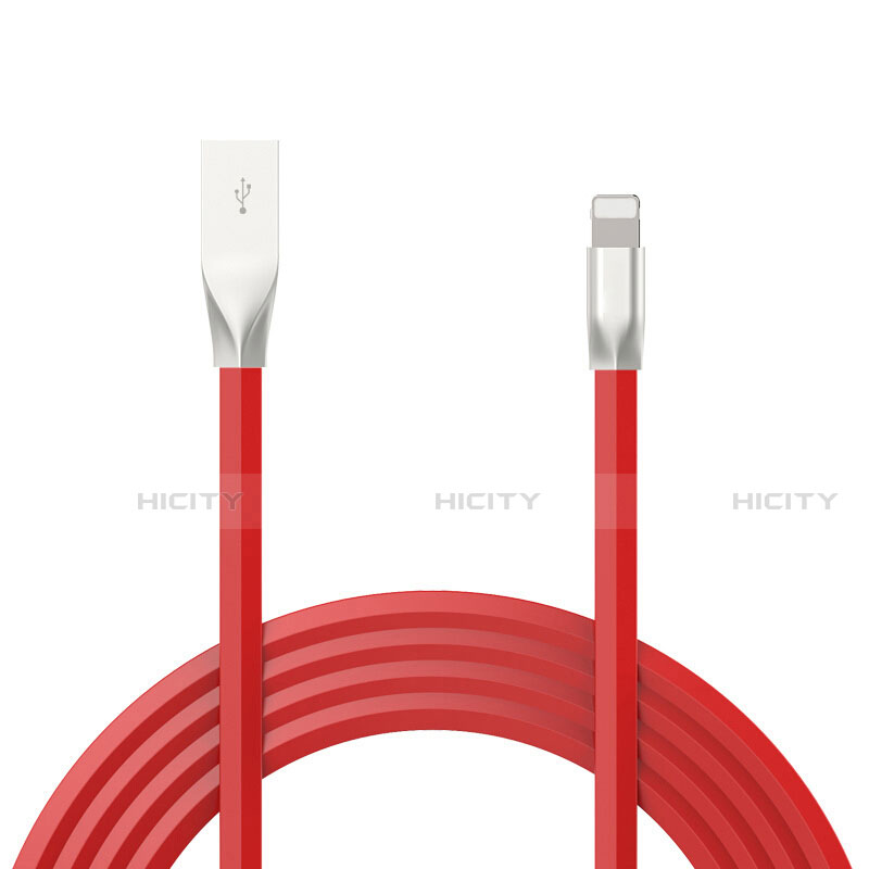 Chargeur Cable Data Synchro Cable C05 pour Apple iPad Mini 4 Plus