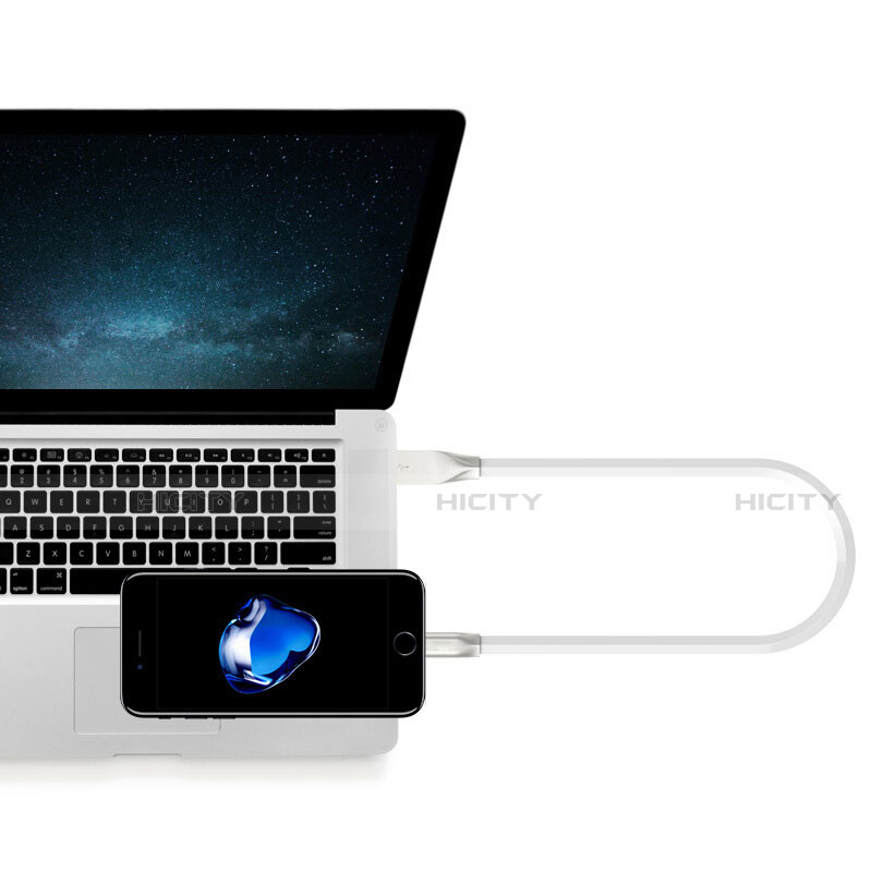 Chargeur Cable Data Synchro Cable C06 pour Apple iPhone 13 Pro Plus
