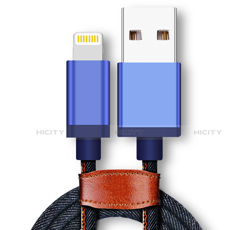 Chargeur Cable Data Synchro Cable D01 pour Apple iPad 3 Bleu Plus