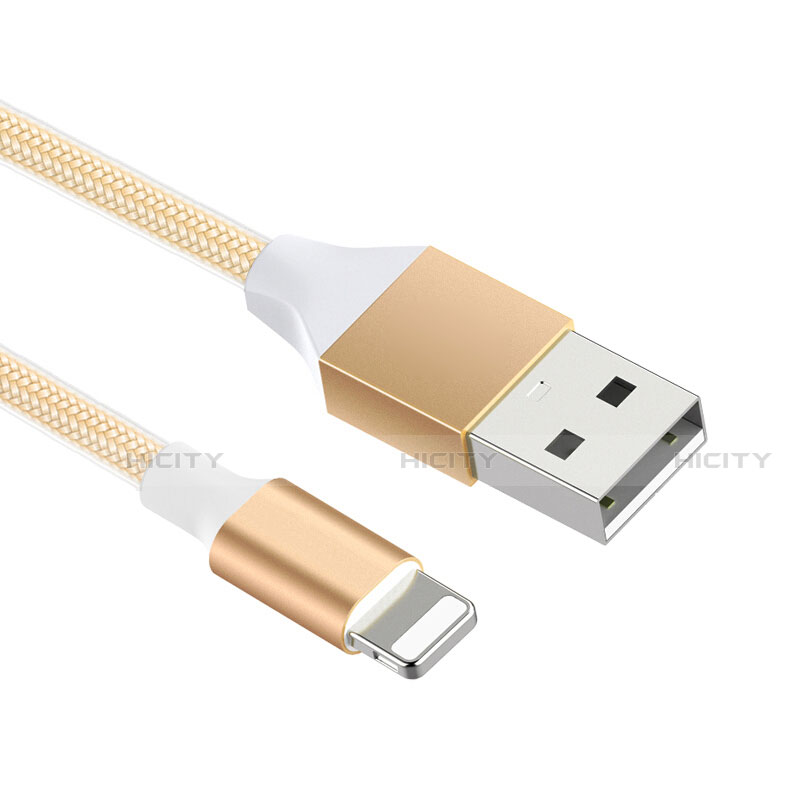 Chargeur Cable Data Synchro Cable D04 pour Apple iPad 10.2 (2020) Or Plus