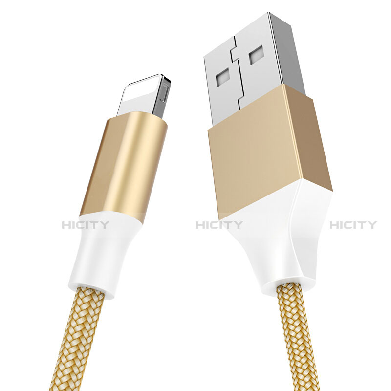 Chargeur Cable Data Synchro Cable D04 pour Apple iPad 10.2 (2020) Or Plus