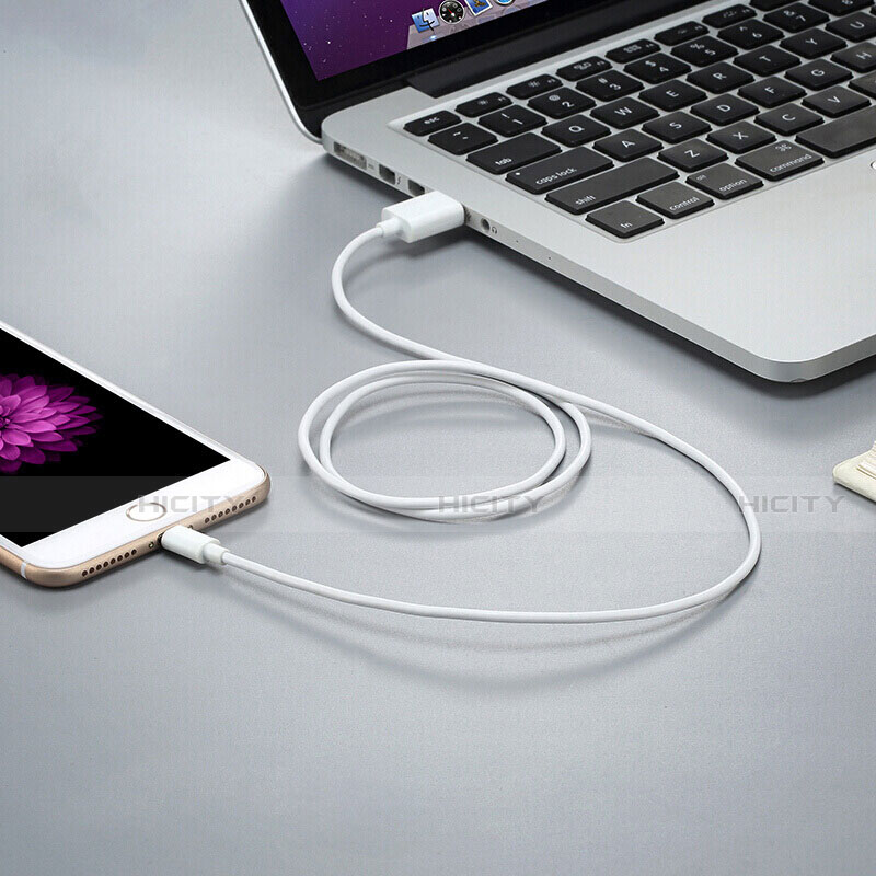 Chargeur Cable Data Synchro Cable D12 pour Apple iPad Air 2 Blanc Plus