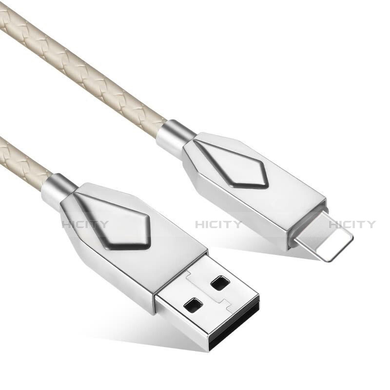 Chargeur Cable Data Synchro Cable D13 pour Apple iPad 10.2 (2020) Argent Plus