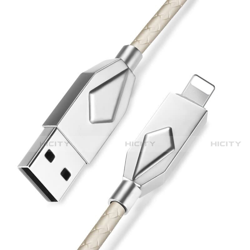 Chargeur Cable Data Synchro Cable D13 pour Apple iPad 10.2 (2020) Argent Plus