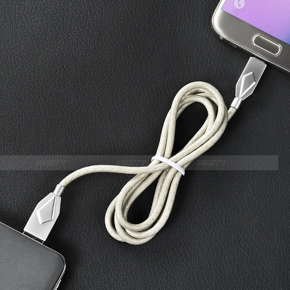 Chargeur Cable Data Synchro Cable D13 pour Apple iPhone 11 Argent Plus