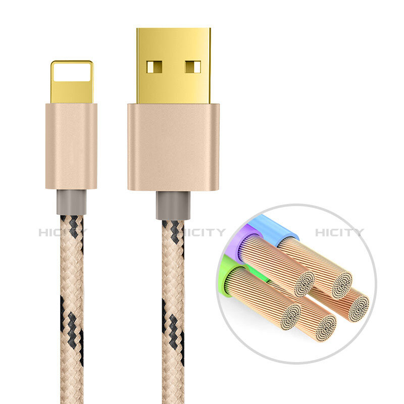 Chargeur Cable Data Synchro Cable L01 pour Apple iPad 10.2 (2020) Or Plus